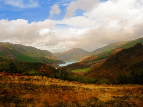 View of the Hillside Above Loch Lubnaig in the Trossachs.