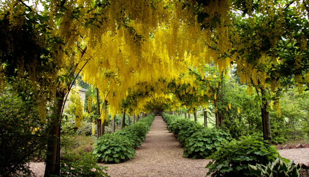 kincardine garden